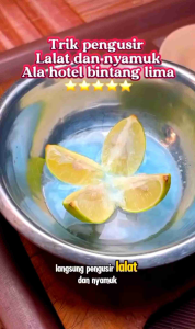pewangi sashet downy 500 6 varian warna 1 renceng isi 12 pc