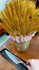 Dao làm bếp dao thái nhật khuyên đồng sáng đẹp dài 33cm