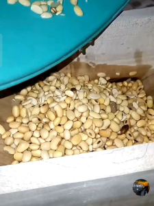 GILINGAN PEMECAH KEDELAI TEMPE MANUAL Alat Dapur Giling Tempe Peralatan Masak Manual - Lazada