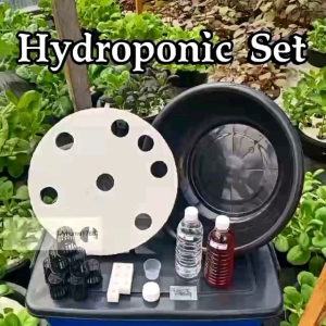 Hidropnik Set 🍁 Hydroponic Set 8 Holes 🍁 Tanaman Hidroponik