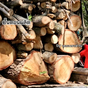 น้ำส้มควันไม้ 20 ลิตร. จากไม้สะเดาแท้100% ดับกลิ่น ไล่แมลงศัตรูพืช เห็บ หมัด ไร เชื้อรา  **หยกเพชรฟาร์ม**