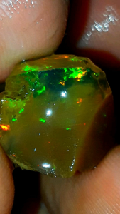 kalimaya super jarong siang malam berkualitas bahan tebel dim 15 x 15 x 10 mm