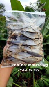 Ikan Asin Selar Murah 1kg /IKAN ASIN SELAR SEGAR FRESH 1kg