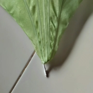 Daun Tangkai Pipa Elastis & Dekorasi Pelaminan