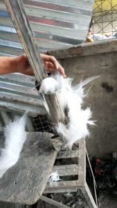 ihce Fiber Glass for Muffler (tambutso)
