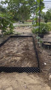 Bầu ươm V6 cao 50 cm  dài 50 met tặng kèm ốc vít thiết kế để tối ưu hóa quá trình ươm cây con