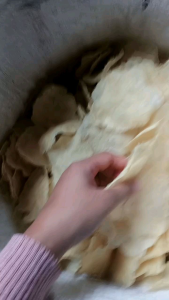 EMPING ASLI MELINJO SUPER LEBAR