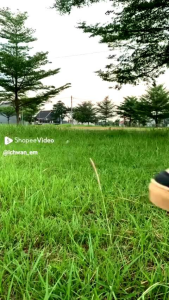 Sepatu Skateboard & Casual Pria: Panduan Lengkap