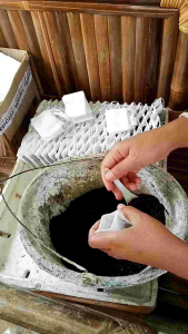 Pupuk Anggrek Guano: Pupuk Organik Berkualitas Tinggi