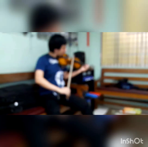 Crescent Violin Matte Finish All Sizes