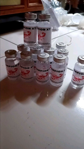 Doping Ayam Scorpion xT: Juaranya Ayam Petarung Taji Super Agresif