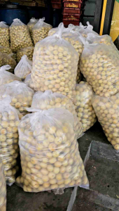 มะขามป้อมดอง ราคาส่ง ดองเกลือ สามารถทำแช่อิ่มต่อได้