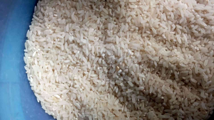 Beras pulen selep sendiri