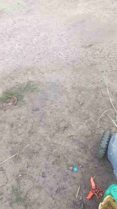 ใบหวายพร้อมคันไม้ไผ่ 120 cm