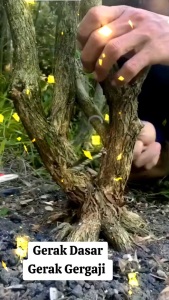 Alat Bonsai Gergaji Bonsai Lokal Panjang 40 cm Gergaji Serbaguna