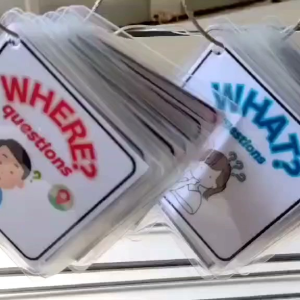 What Who When Where flashcards / photographic learning material/ two sides printed / Speech Therapy flashcards