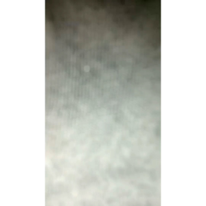 Boxer Pria Isi 1 Boxer Dewasa dan Remaja Sport Bahan Katun Pakaian Dalam Pendek