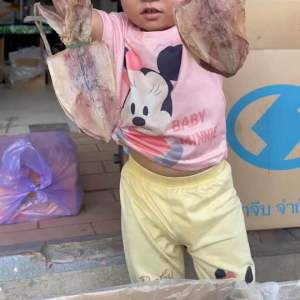 พร้อมส่ง ปลาหมึกแห้ง ปลาหมึกผ่า ปลาหมึกกระตอย หลายไซต์ (ขนาด1000กรัม) สด ใหม่ สะอาด ปลอดสารฟอร์มาลีน เนื้อนุ่ม หวานธรรมชาติ กลมกล่อม