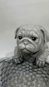 กระถางปลูกต้นไม้มีหมาหน้าย่นเกาะกระถางเป็นงานหล่อปูนตกแต่งบ้านจัดสวนสูง 6 นิ้วความกว้างของปากกระถาง 6.5 นิ้วหนักประมาณ0.5kg