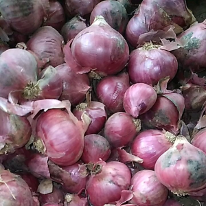 100/250/500 Gram 1 Kg Bawang Merah Kering
