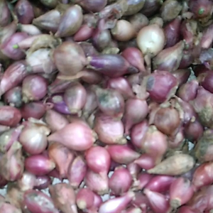 Promo 1 Kg Bawang Merah Ares Kecil Mini Bumbu Masak Harum