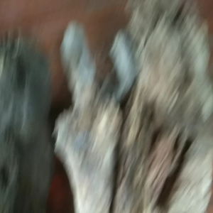 ไม้ผุใช้เลี้ยงด้วงใช้ประดับสวนตกแต่งงานต่างๆ 2 กิโลกรัมสามารถออเดอร์ได้ inbox ตัดตามลูกค้าต้องการ