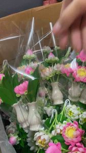 บัวชุด3ดอกสีทูโทนไชด์8นิ้ง