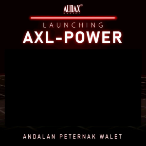 Per 2 Pcs : 50 WP Solar Panel Panel Surya Asli Audax