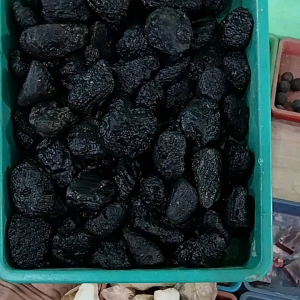 Bahan Batu Meteor Catam Belitung