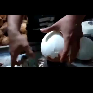 PISAU PARUTAN KERUTAN PENGUPAS ARI KELAPA DENGAN MUDAH