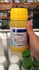 Fastac 250ml 15 Ec Alfametrin Insektisida Kontak Mengendalikan Hama Kutu
