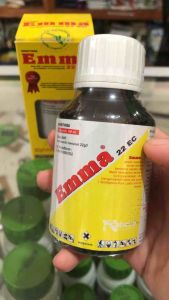Emma 22ec 100ml Insektisida Emmamectin Benzoat mengendalikan Hama Ulat Grayak