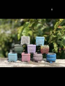Bộ 5 chậu trồng cây sen đá/xương rồng nhập Trung mini