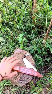 PISAU DAPUR PB 15 CM BAJA PER IRIS KERTAS BUAH DAN SAYURAN