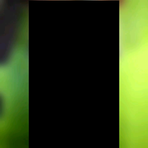 Midi dress terbaru 2025 | Dress rayon premium | Midi rayon | Midi motif bunga | Midi dress viral | Midi all size | NOM fashion