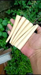 pipa cangklong kayu kopi 11cm natural