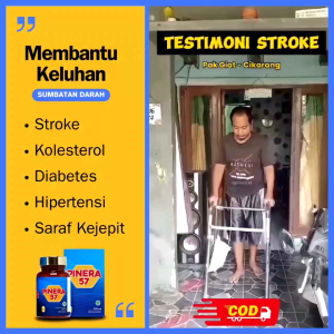 PINERA57 ORIGINAL 4 BOX OBAT STROKE KOLESTEROL DIABETES JANTUNG ASAM URAT ASAMLAMBUNG PINERA 57 ASLI