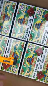 Xí Muội Ômai Thanh Mai Zhemei hộp 300g