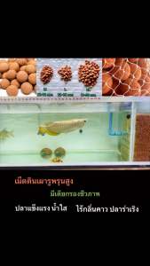 Meddin Factory ฟรีถุงตาข่าย! มีเดีย XL 16-20 มม มีเดียกรองชีวภาพ 1 ถุง (640 กรัม) พรัอมถุงตาข่าย! เม็ดดินเผารูพรุนสุง ปรับ pH ลงได้