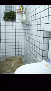 C062 น้ำหอมดับกลิ่นห้องน้ำ กลิ่นหอมสดชื่น ติดทนนาน น้ำหอมหยดชักโครก 20 ml