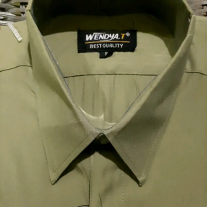 COD✅Wendyat kemeja pria warna green sage/kemeja polos lengan panjang/kemeja pria formal