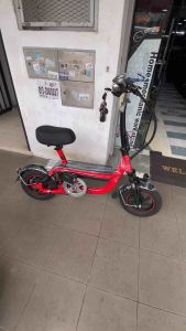 Zebra Model D Electric Folding Bicycle