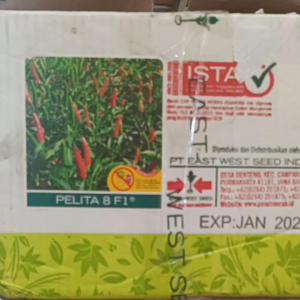 350 Butir Benih Cabe Rawit Pelita 8 F1 Exp 2026
