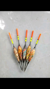 kambangan untuk mancing ikan nila ukuran 15cm