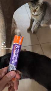 Cat Treats MR WHISKERS Pet Treats untuk Kucing Berat 15g Hidangan Langsung atau Campurkan dengan Makanan