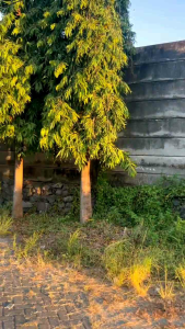 Sandal Wanita Murah Fladeo Sendal Jepit Blink Kristal Sandal Teplek Flat warna Hitam Black Termurah