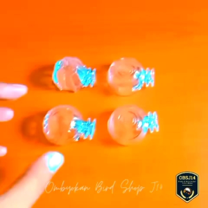 Cepuk Makan & Minum Burung Kecil: Pilihan Terbaik