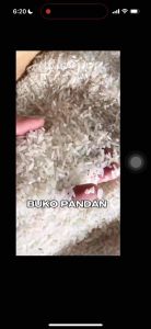 Quality Premium Rice Buco Pandan Premium Rice/Bigas available in 25KG 10KG 5KG