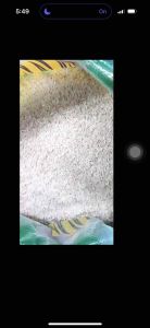 Quality Premium Rice Jasmine Denorado Rice/Bigas Green available in 25KG 10KG 5KG