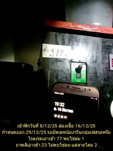 ไข่เชื้อสำหรับนำไปฟัก (ไข่เชื้อตามสั่ง) ลูกค้าจะสั่งไข่เชื้ออะไร สั่งกี่ใบก็ได้ครับ เอาใจสาย mix 💥กดติดตามมีลดเพิ่ม💥